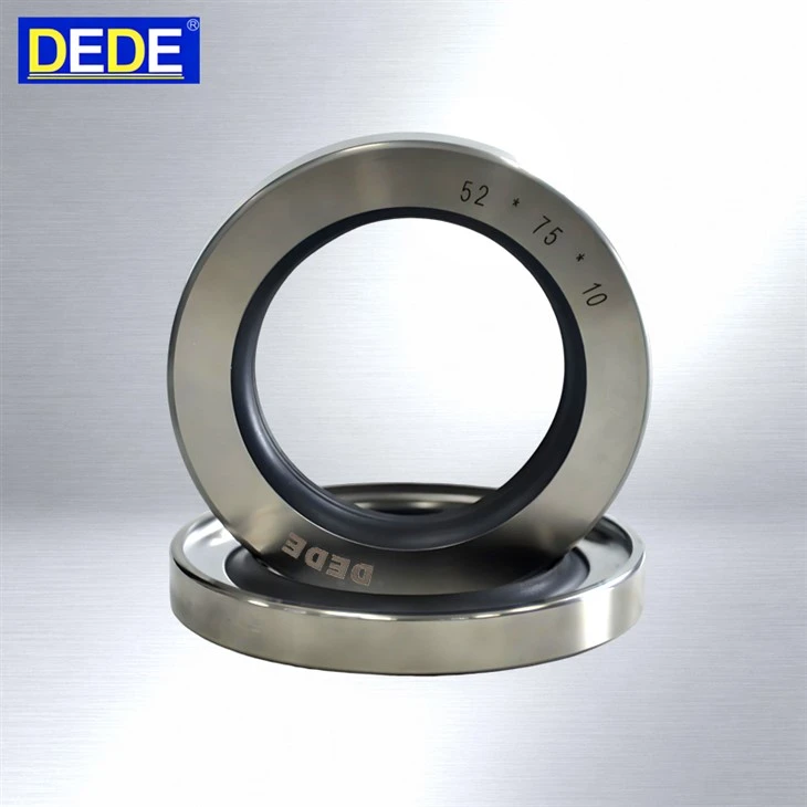 PTFE Lip Seal factory